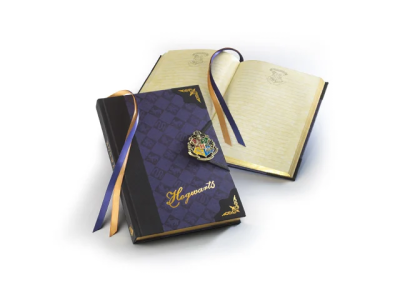 HARRY POTTER - Journal - Poudlard 