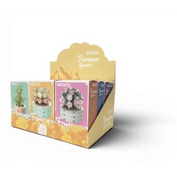 FOREVER FLOWERS - Bricks Succulent - Display 12pcs