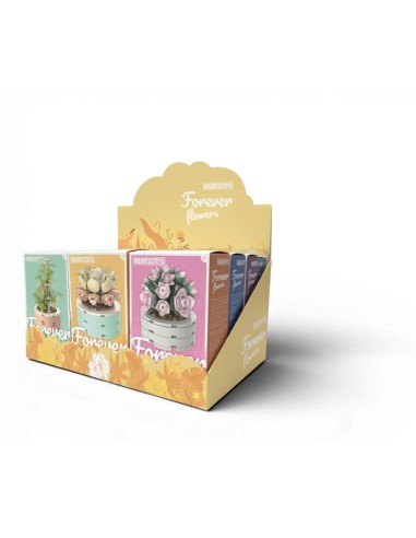 FOREVER FLOWERS - Bricks Succulent - Display 12pcs