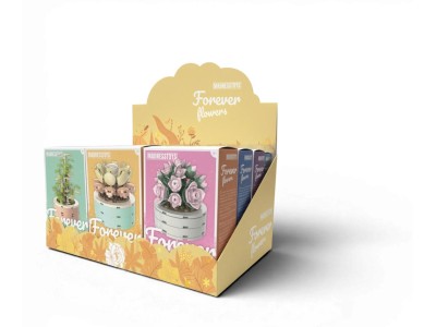 FOREVER FLOWERS - Bricks Succulent - Display 12pcs