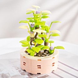 FOREVER FLOWERS - Bricks Succulent - Display 12pcs 2