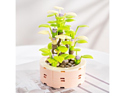 FOREVER FLOWERS - Bricks Succulent - Display 12pcs
