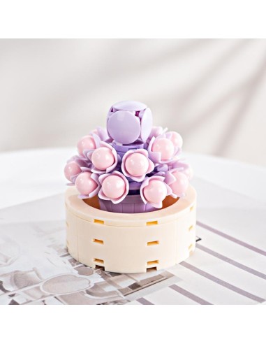 FOREVER FLOWERS - Bricks Succulent - Display 12pcs
