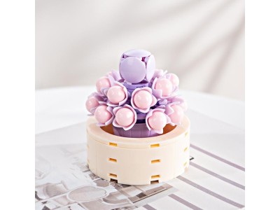 FOREVER FLOWERS - Bricks Succulent - Display 12pcs