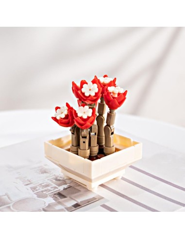 FOREVER FLOWERS - Bricks Succulent - Display 12pcs