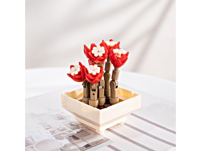FOREVER FLOWERS - Bricks Succulent - Display 12pcs