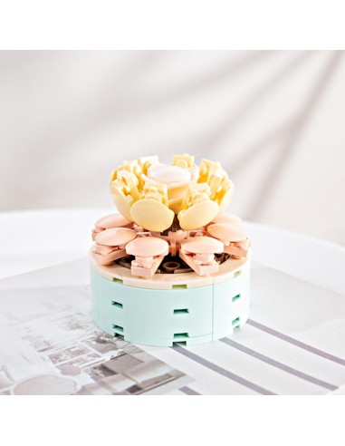 FOREVER FLOWERS - Bricks Succulent - Display 12pcs