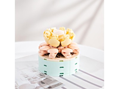 FOREVER FLOWERS - Bricks Succulent - Display 12pcs