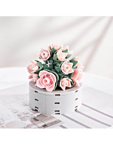 FOREVER FLOWERS - Bricks Succulent - Display 12pcs