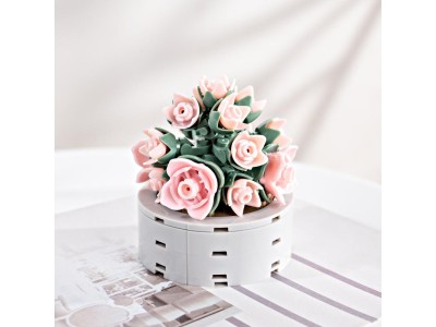 FOREVER FLOWERS - Bricks Succulent - Display 12pcs