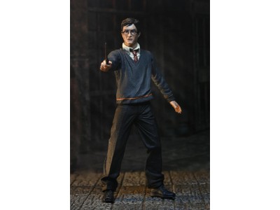 HARRY POTTER - Harry Potter - Figurine Legacy Collection 17cm