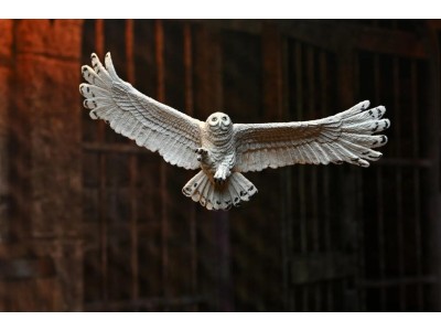 HARRY POTTER - Harry Potter - Figurine Legacy Collection 17cm