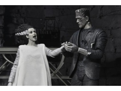 UNIVERSAL MONSTER - Frankenstein et sa fiancée -Figurine Ultimate 17cm