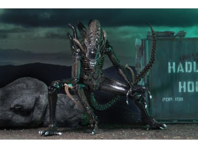 ALIENS - Guerrier Alien Brun - Figurine Ultimate 23cm
