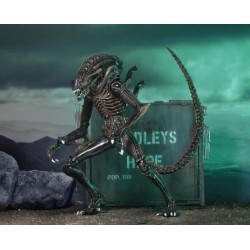 ALIENS - Guerrier Alien Brun - Figurine Ultimate 23cm 2