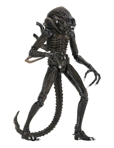 ALIENS - Guerrier Alien Brun - Figurine...