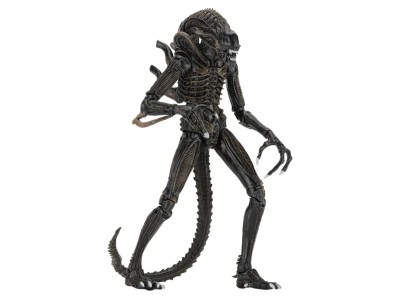 ALIENS - Guerrier Alien Brun - Figurine Ultimate 23cm