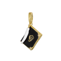 HARRY POTTER - Pendentif Charm Lumos 11 - Journal de Tom...