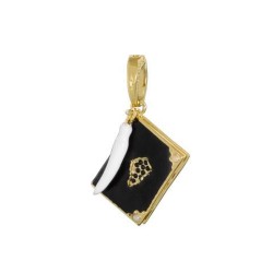 HARRY POTTER - Pendentif Charm Lumos 11 - Journal de Tom... 2