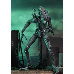 ALIENS - Guerrier Alien Bleu - Figurine Ultimate 23cm