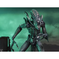 ALIENS - Guerrier Alien Bleu - Figurine Ultimate 23cm 2