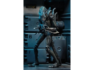 ALIENS - Guerrier Alien Bleu - Figurine Ultimate 23cm