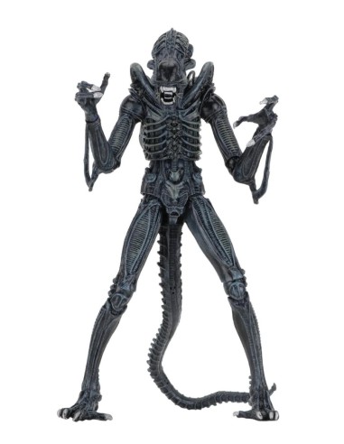 ALIENS - Guerrier Alien Bleu - Figurine...