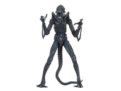 ALIENS - Guerrier Alien Bleu - Figurine Ultimate 23cm