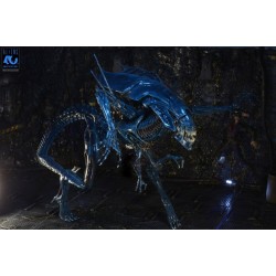 ALIENS 40EME ANNIVERSAIRE - Reine Alien - Figurine Ultra...