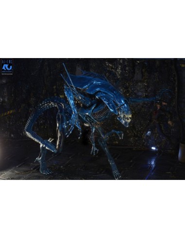 ALIENS 40EME ANNIVERSAIRE - Reine Alien -...