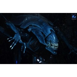 ALIENS 40EME ANNIVERSAIRE - Reine Alien - Figurine Ultra... 2