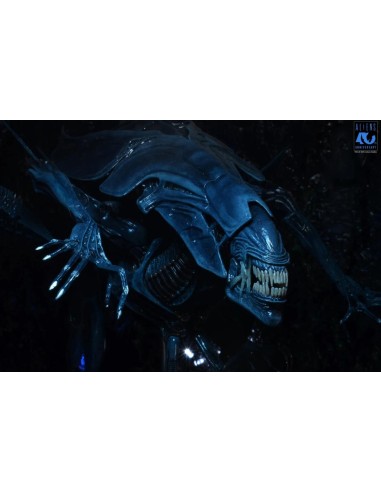 ALIENS 40EME ANNIVERSAIRE - Reine Alien -...