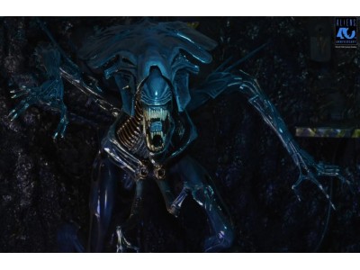 ALIENS 40EME ANNIVERSAIRE - Reine Alien - Figurine Ultra Deluxe 37cm