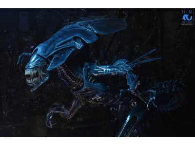ALIENS 40EME ANNIVERSAIRE - Reine Alien - Figurine Ultra Deluxe 37cm
