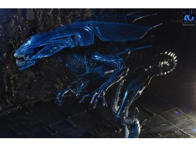 ALIENS 40EME ANNIVERSAIRE - Reine Alien - Figurine Ultra Deluxe 37cm