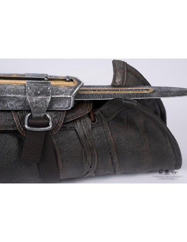 ASSASSIN'S CREED BLACK FLAG - Lame secrète de...