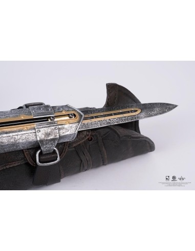 ASSASSIN'S CREED BLACK FLAG - Lame secrète de...