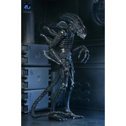 ALIENS 40EME ANNIVERSAIRE - Guerrier Alien Noir - Fig....