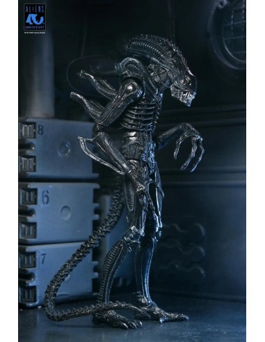 ALIENS 40EME ANNIVERSAIRE - Guerrier Alien Noir...