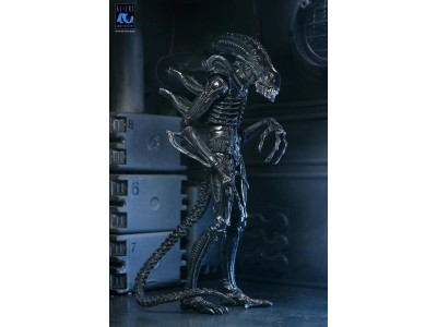 ALIENS 40EME ANNIVERSAIRE - Guerrier Alien Noir - Fig. Ultimate 23cm