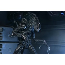 ALIENS 40EME ANNIVERSAIRE - Guerrier Alien Noir - Fig.... 2