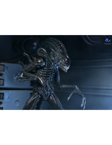 ALIENS 40EME ANNIVERSAIRE - Guerrier Alien Noir...