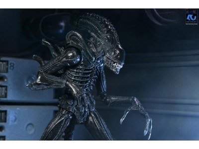 ALIENS 40EME ANNIVERSAIRE - Guerrier Alien Noir - Fig. Ultimate 23cm