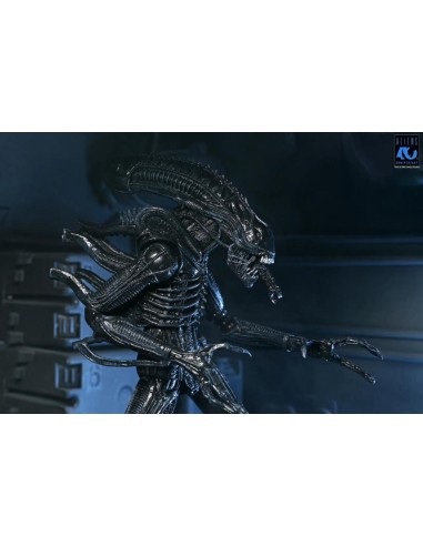 ALIENS 40EME ANNIVERSAIRE - Guerrier Alien Noir...