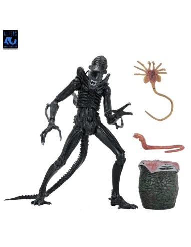 ALIENS 40EME ANNIVERSAIRE - Guerrier Alien Noir...