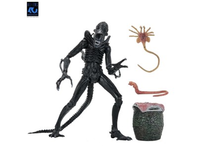 ALIENS 40EME ANNIVERSAIRE - Guerrier Alien Noir - Fig. Ultimate 23cm