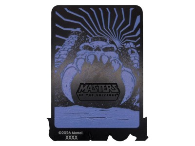 LES MAITRES DE L'UNIVERS - Musclor & She-Ra - Lingot Edition Limitée