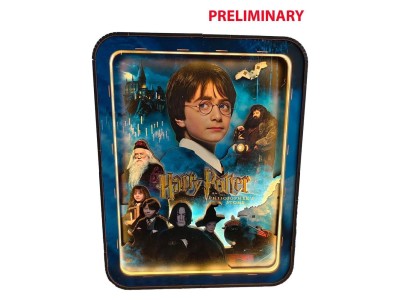 HARRY POTTER -Cadre Mural - L'Ecole des Sorciers - xxpc +Eclairage LED