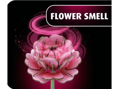 FLEURS EN BOIS - Jardin Fleuri - 181pc