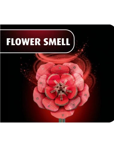 FLEURS EN BOIS - Rêve des Roses - 326pc